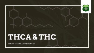 THCA & THC