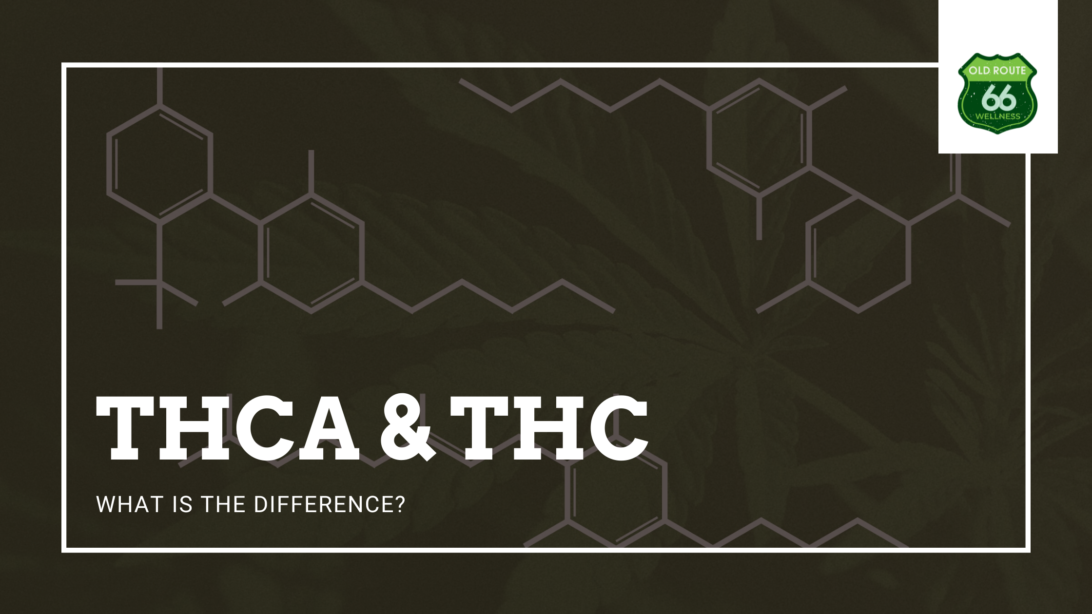 Ultimate Guide To Medical Marijuana: Difference Between THC And THCA