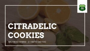 Balanced Hybrid Citradelic Cookies at Old Route 66 Wellness