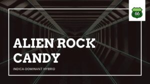 Alien Rock Candy Cannabis Strain