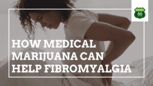How Medical Marijuana can help Fibromyalgia
