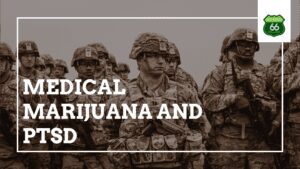 Medical Marijuana and PTSD
