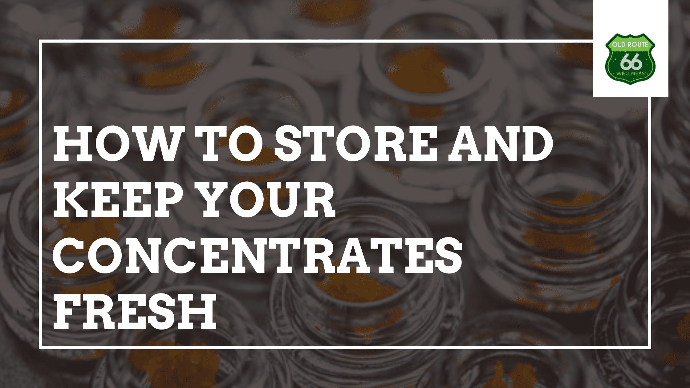 Store Concentrates Blog (1)
