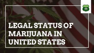 Legal status of marijuana in united states