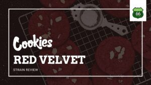 Cookies Red Velvet Cannabis Strain Review by Old Route 66 Wellness Medical Marijuana Dispensary in Missouri