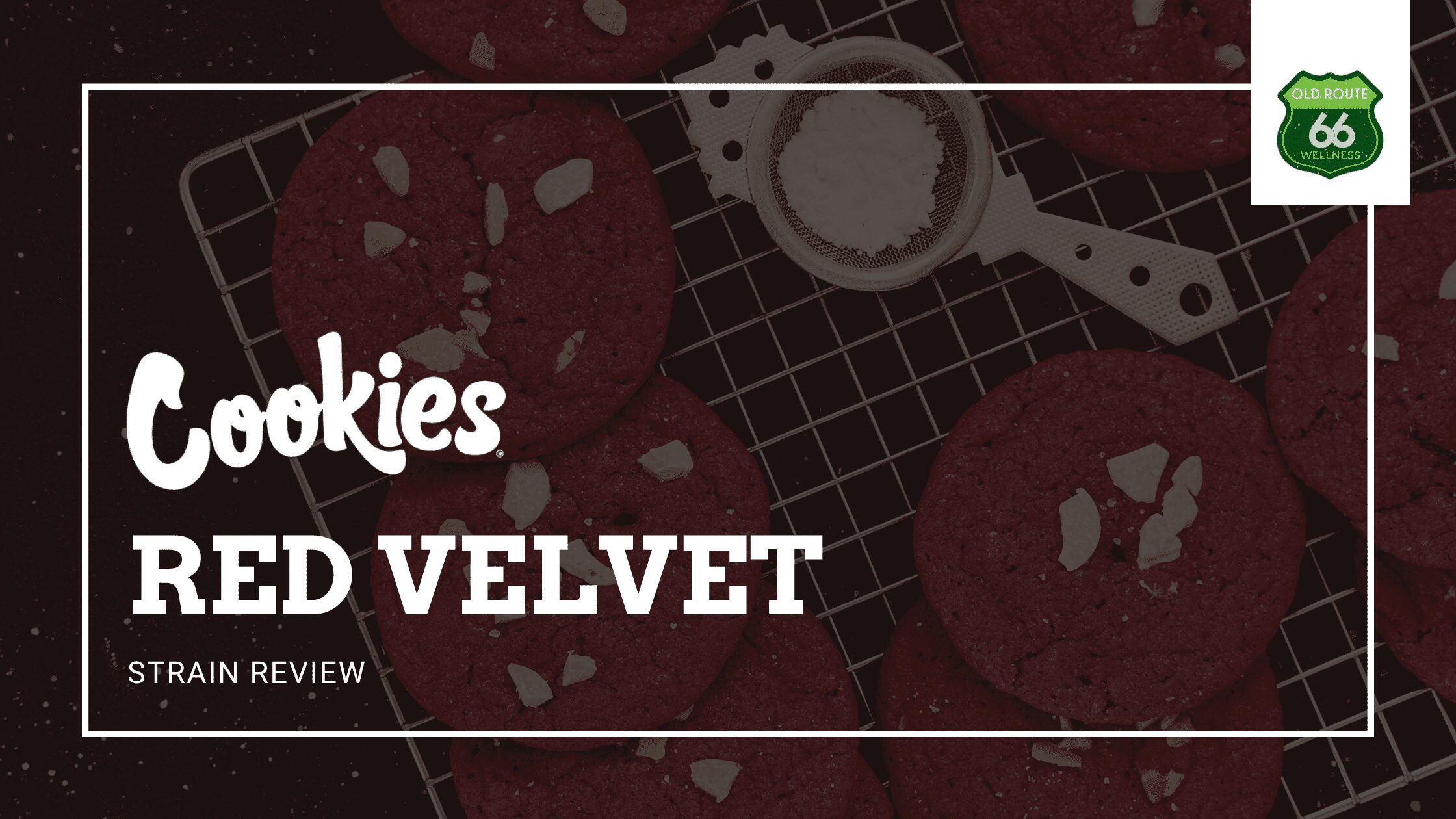 Cookies Red Velvet hybrid marijuana strain with high THC potency