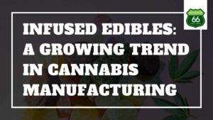 Infused Edibles: Riding the Wave of Innovation in Cannabis Manufacturing Trends"