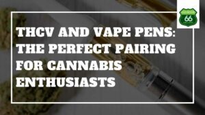 Discover the perfect synergy of THCV and vape pens, unlocking a refined cannabis experience. Explore the unique benefits of this potent cannabinoid in a convenient and discreet form, as we delve into why this pairing is capturing the attention of discerning cannabis enthusiasts.