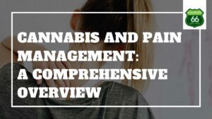 Empowering Pain Relief: Unveiling the Role of Cannabis in Comprehensive Pain Management