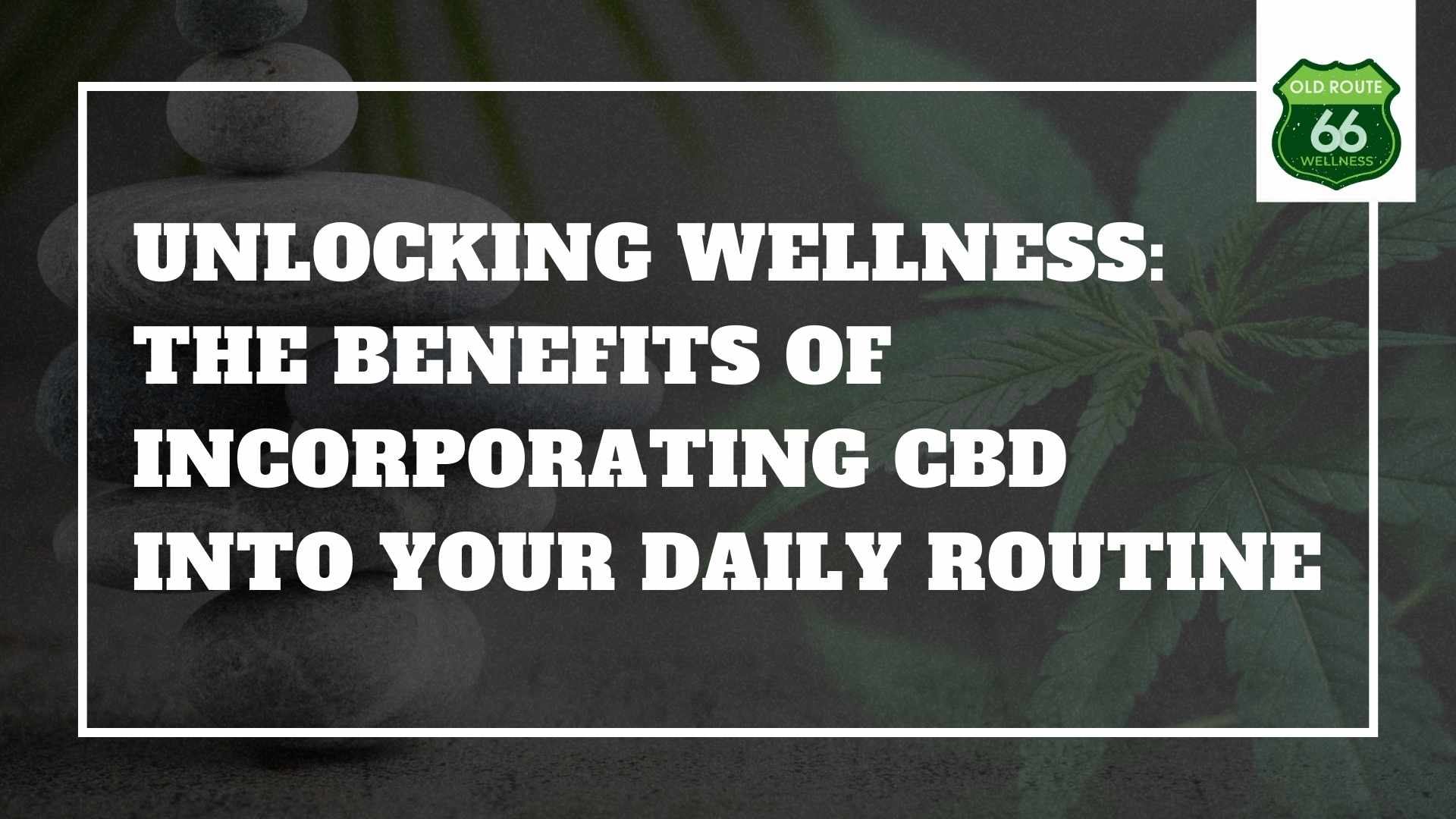 Elevate your well-being with insights into the transformative benefits of integrating CBD into your daily routine.