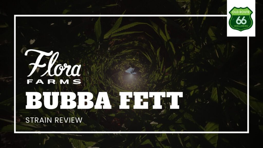 Bubba Fett Cannabis Strain Unleashing Intergalactic Bliss with Every Hit!
