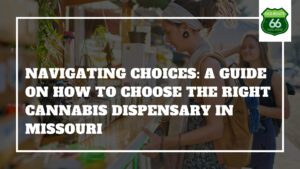 Navigating Choices A Guide on How to Choose the Right Cannabis Dispensary in Missouri